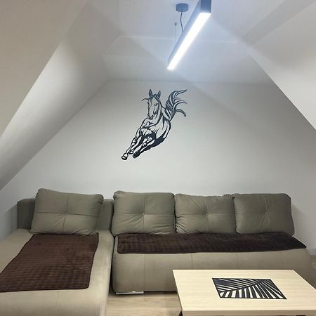 Family Apartmans Harry- Apartmans Of The Apart Hotel & Spa Zoned, Kopaonik - Special Benefit, Children Up To 13 Years Of Age Accompanied By Two Adults Stay For Free-Parking-Breakfast-Pool&Spa Exterior foto